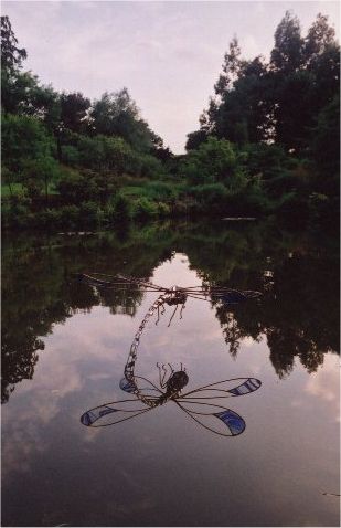 Tail balancing dragonfly