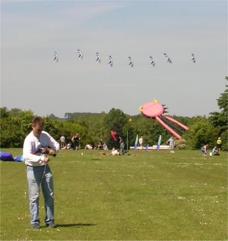 kites